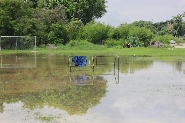 的这一理念 的这一理念