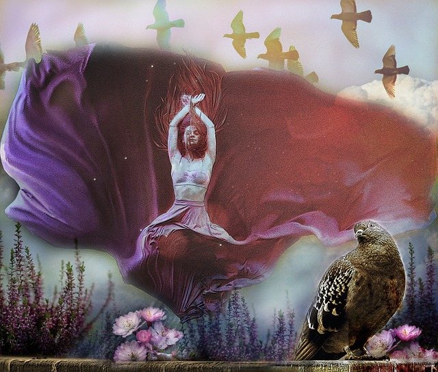 天都是高光 天都是高光