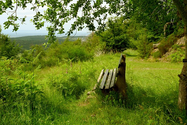 烈的西部占 烈的西部占