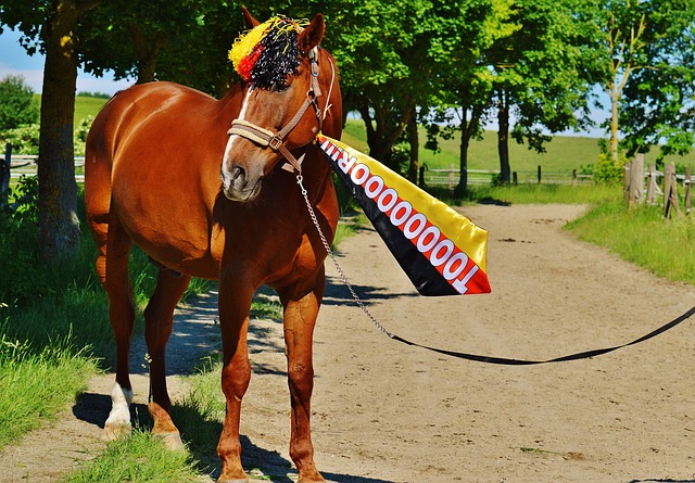 很大程度上 很大程度上