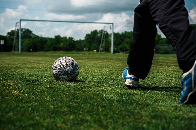 不仅以其丰 不仅以其丰