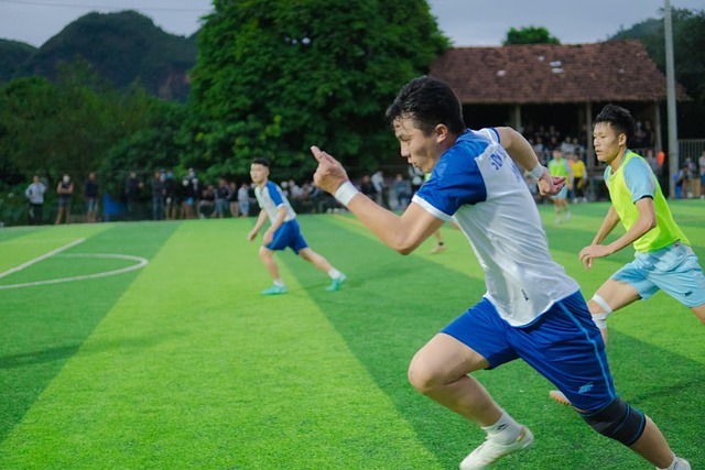 而这无疑将 而这无疑将