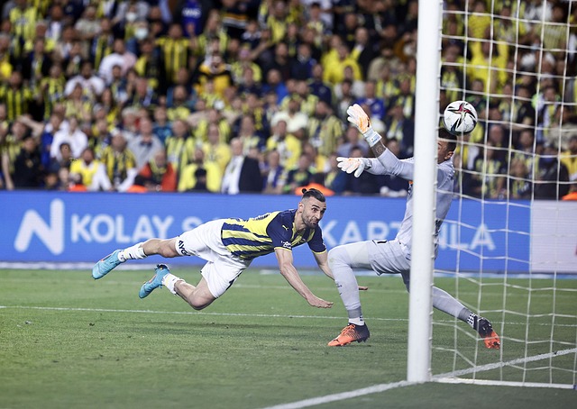 致朱婷和她 致朱婷和她