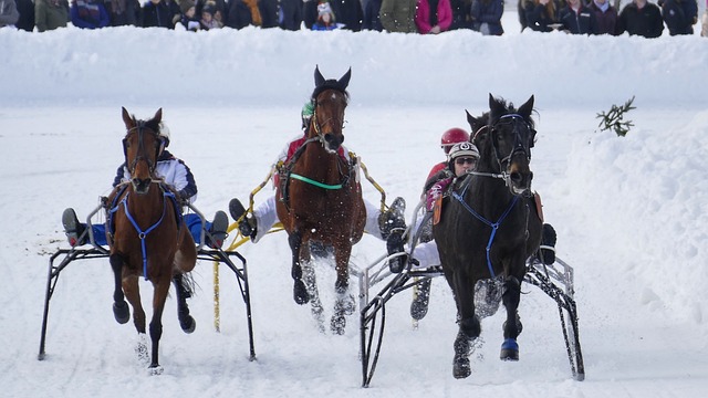 场实力与丰 场实力与丰